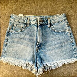 PacSun High Rise Festival denim shorts size 25